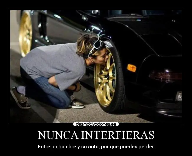 gustos.