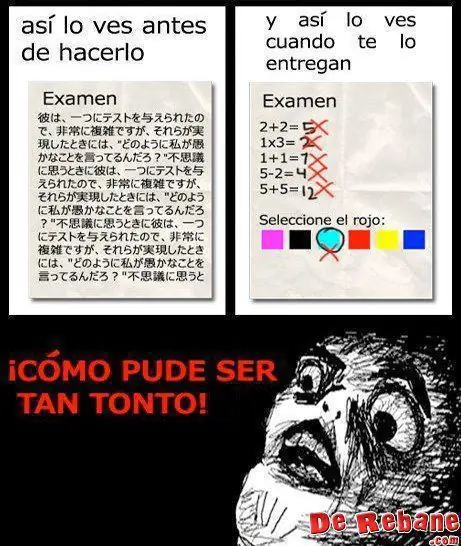 memes
