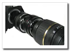 macrofotografia