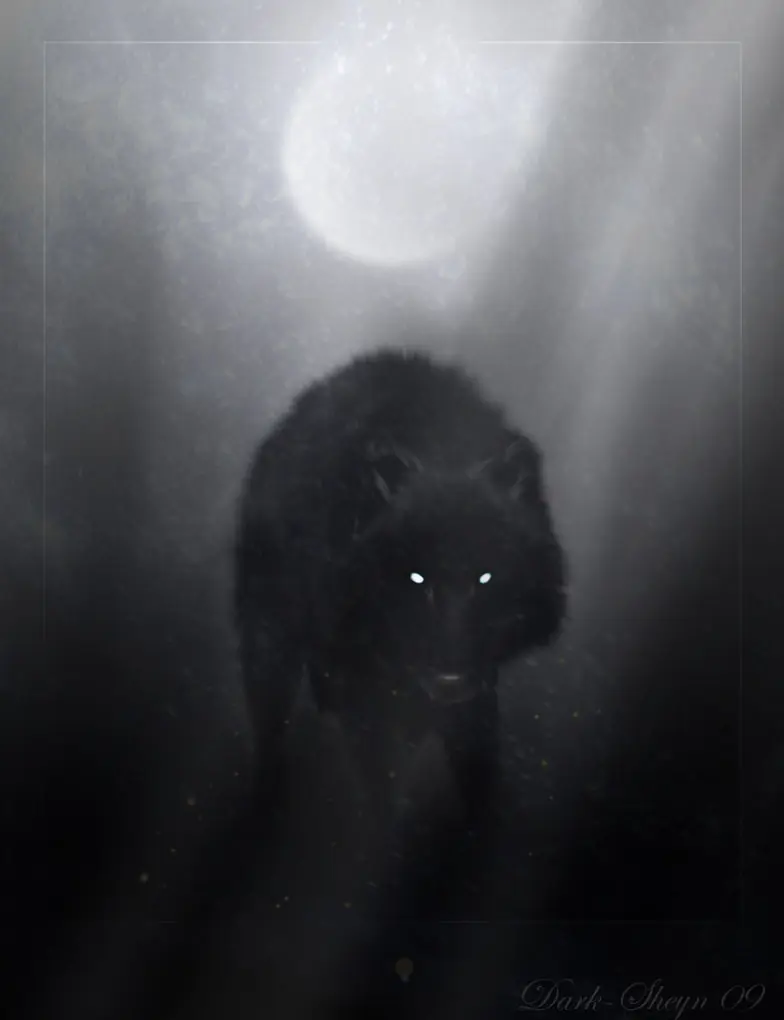 animal