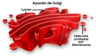 aprender
