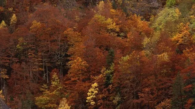 Relaja tu mente con estos paisajes [Arte]