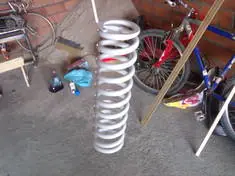 viejo