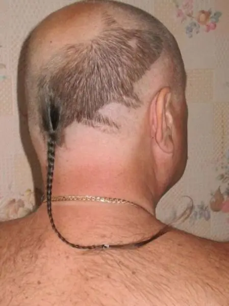 imagenes fail