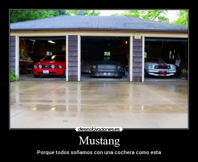 gustos.