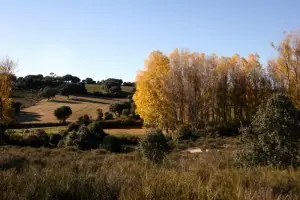 paisajes