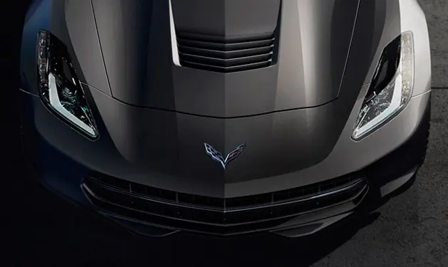 stingray