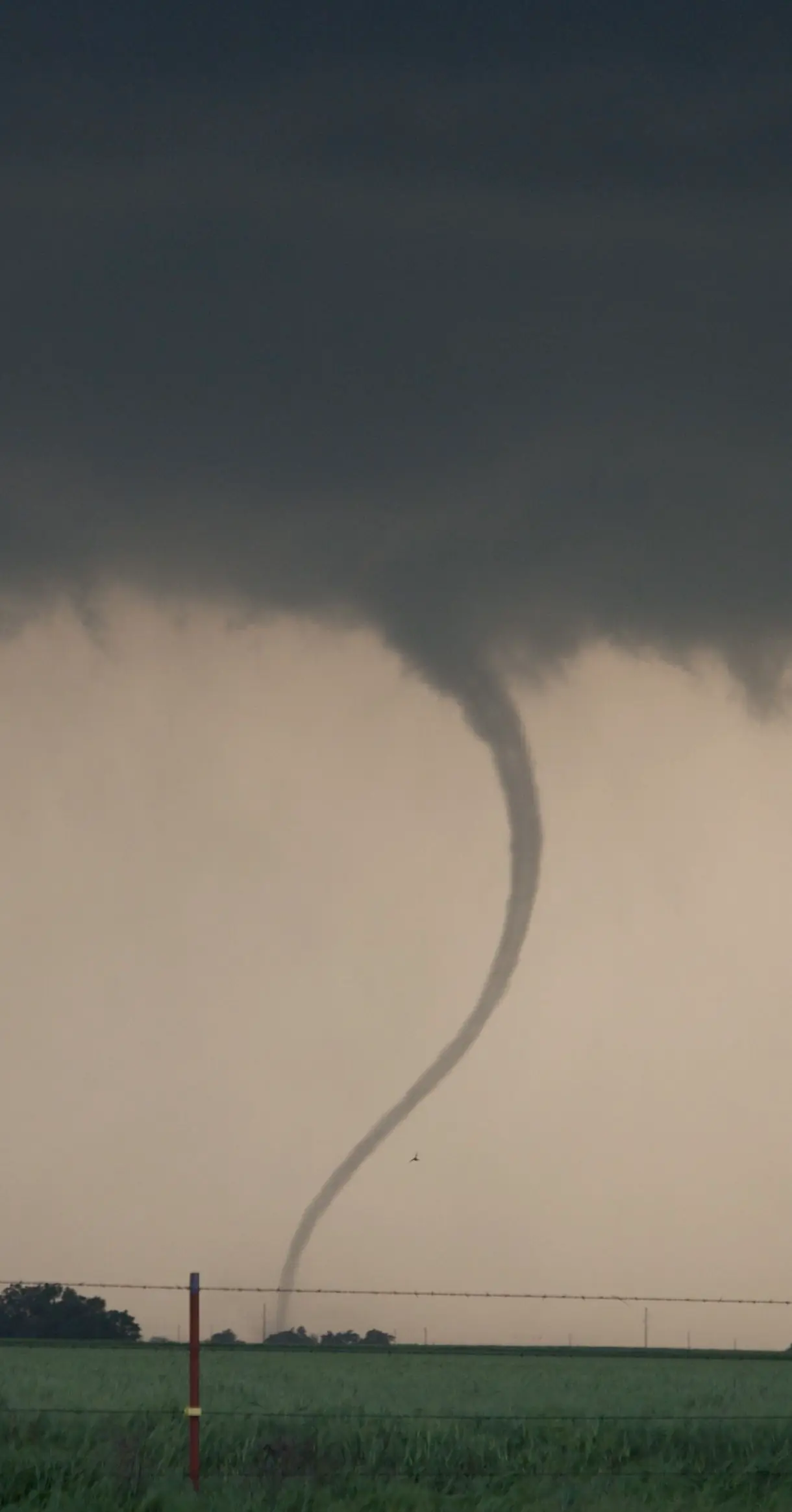 Furia de la Naturaleza