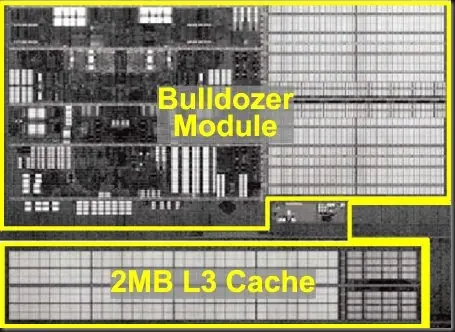 amd