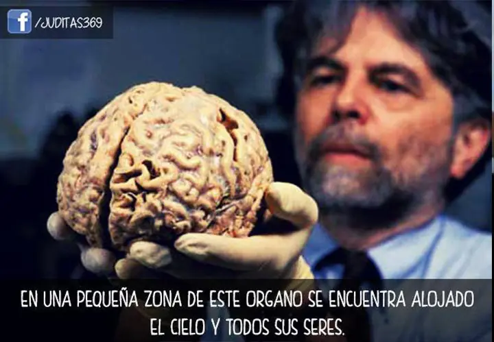 frases