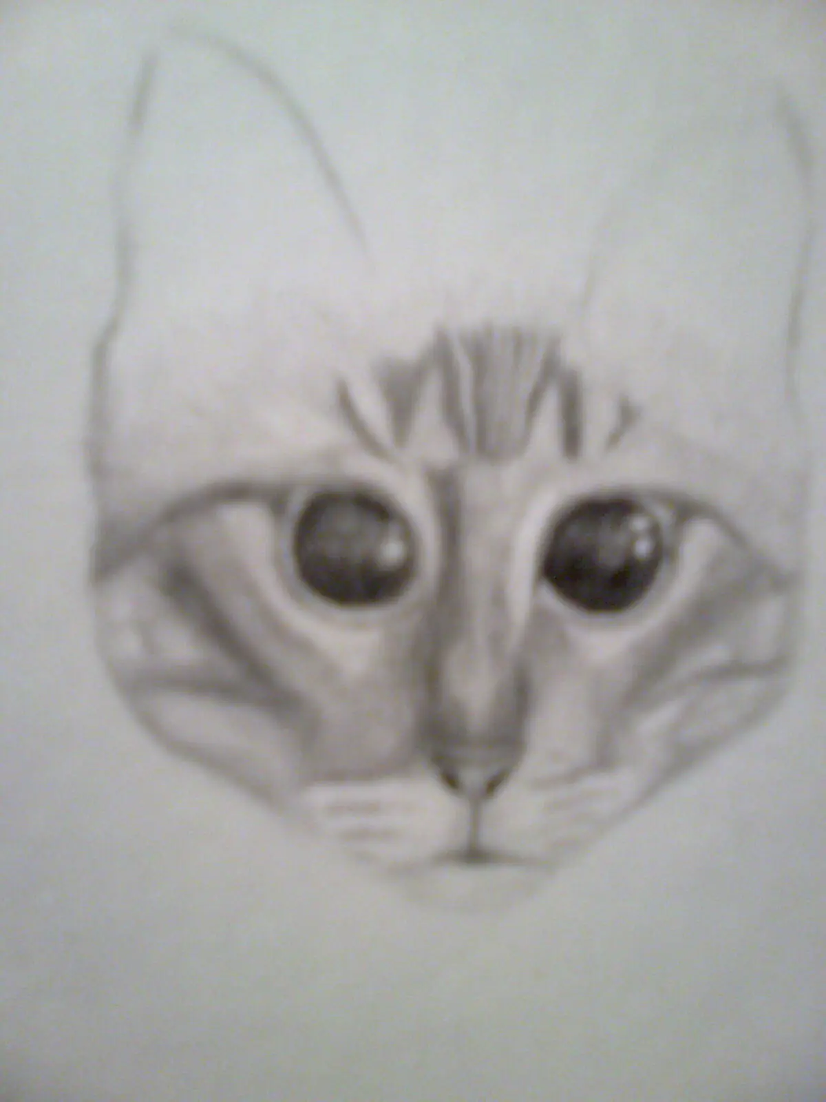 Una extraña criatura Parte 2