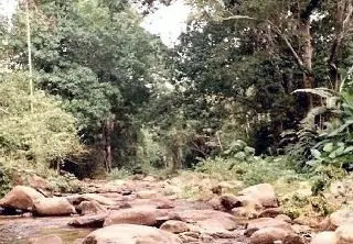 Parque nacional Henri Pittier
