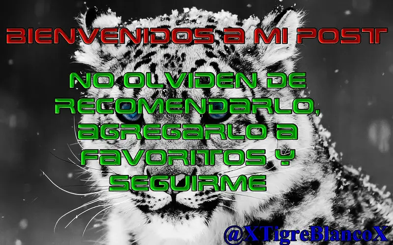 Sindrome de Tourette - Consejos, Informacion, Etc