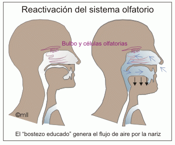 fiaca