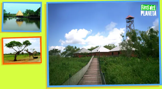 Yumka Parque Ecologioco En el Estado De Tabasco