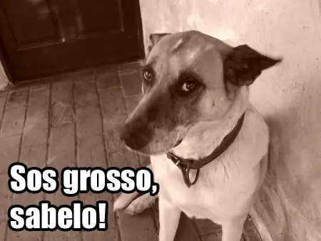 imagenes