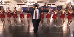 Se armo el bailongo señores...