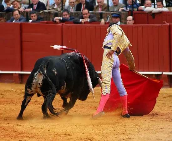 Las toreadas: un post para reflexionar y recapacitar...