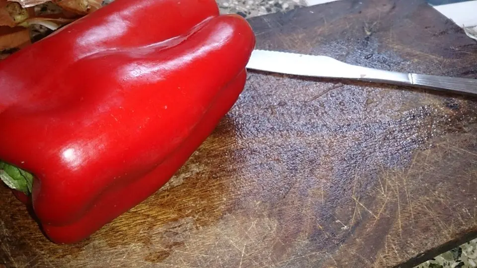 Casero