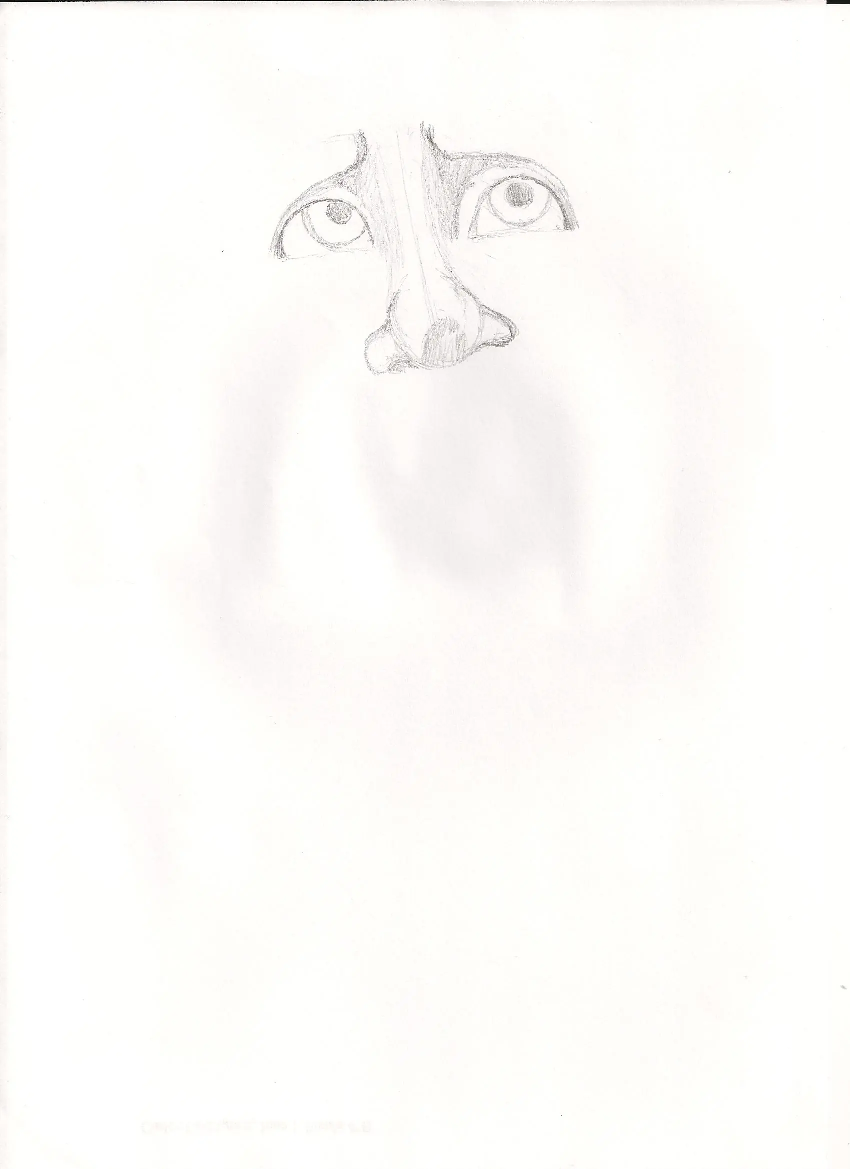 Dibujo
