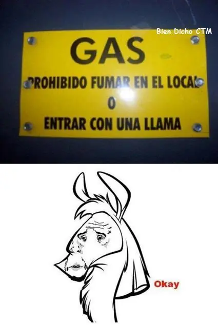 dia feliz