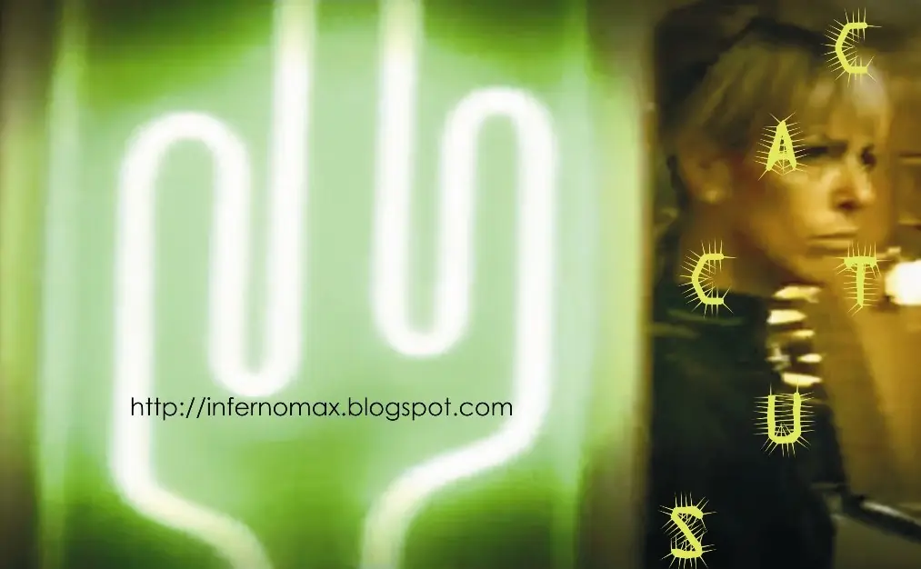video rapto