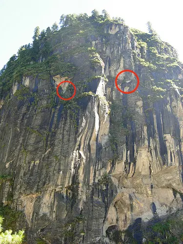 La fiebre del oro (dulce) en las colinas del Himalaya.