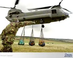 Chinook