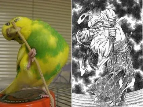 gracioso