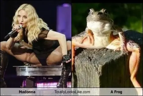 iguales