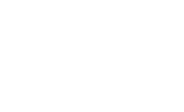lapiz