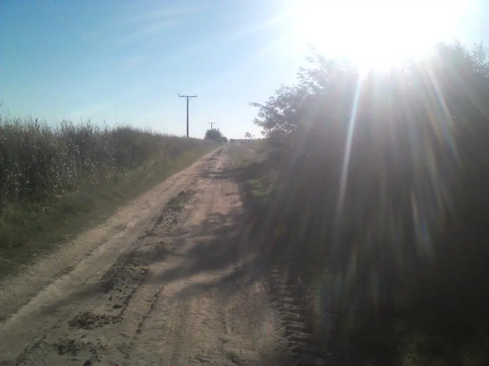 caminos