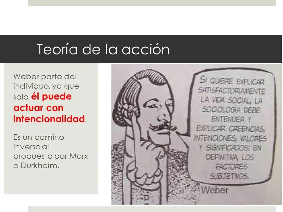 sociologia
