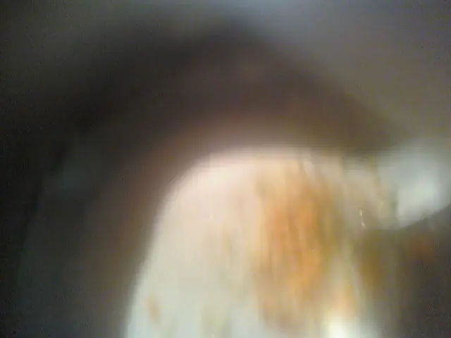tarta
