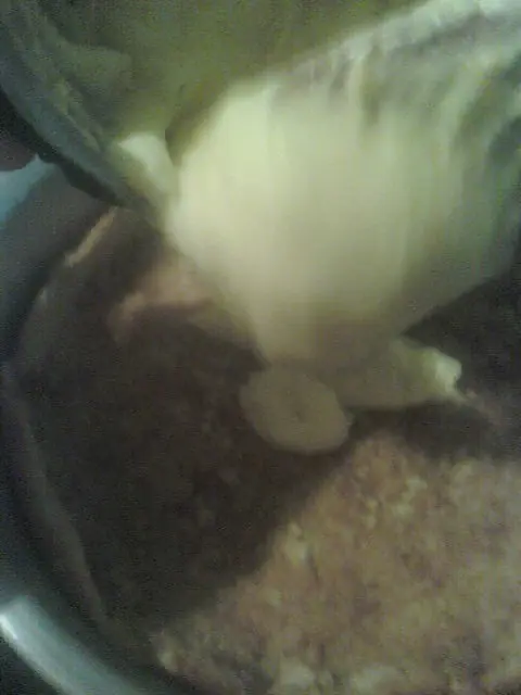 limon