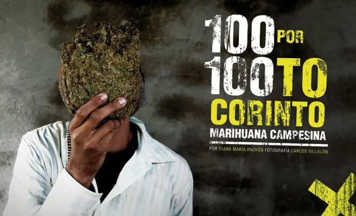 Marihuana Colombiana: El trabajo campesino que pocos conocen