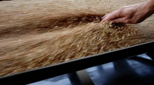 El colmo del cepo: Ingresaron menos dólares de exportacione