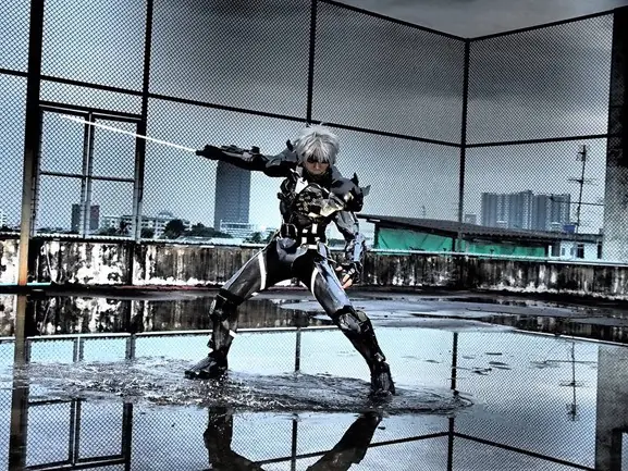 gray fox