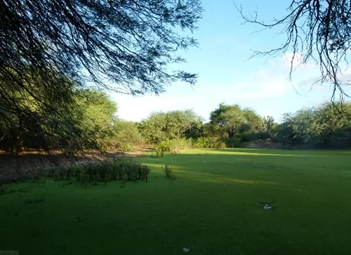 Argentina