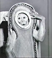 espacio