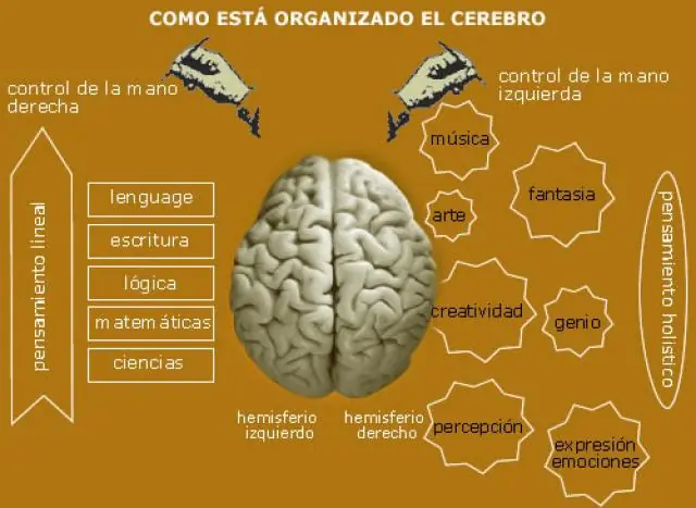 *10 trucos para agilizar el cerebro*