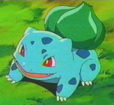 pokemon