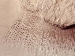 Si hay agua hay vida