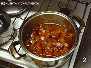 zapallo