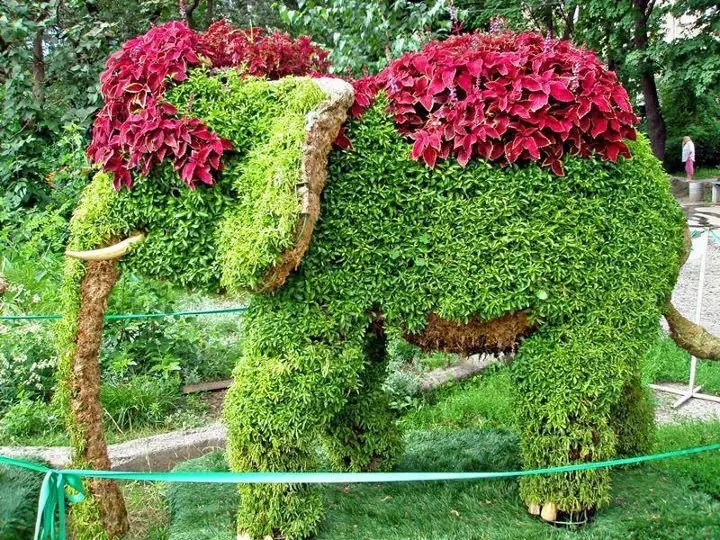 Jardines exóticos y el arte de la topiaria