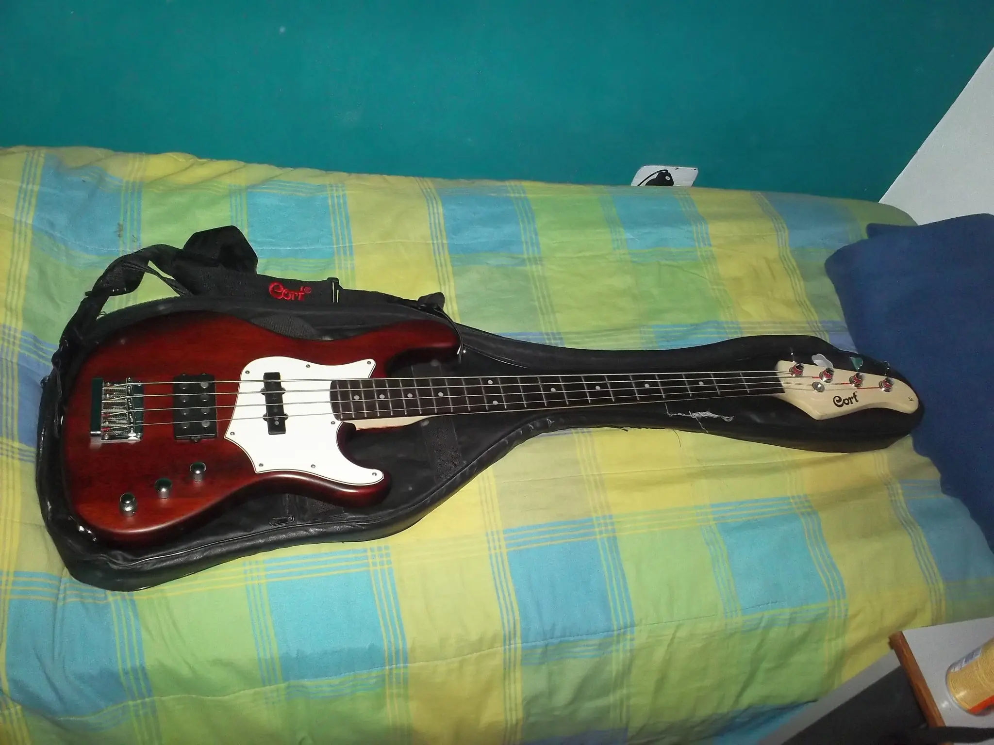 ampeg