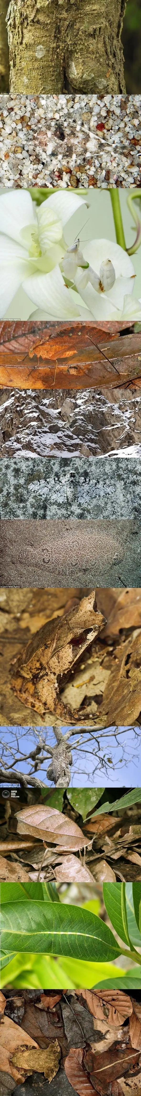 Humor barato: ....(crap)