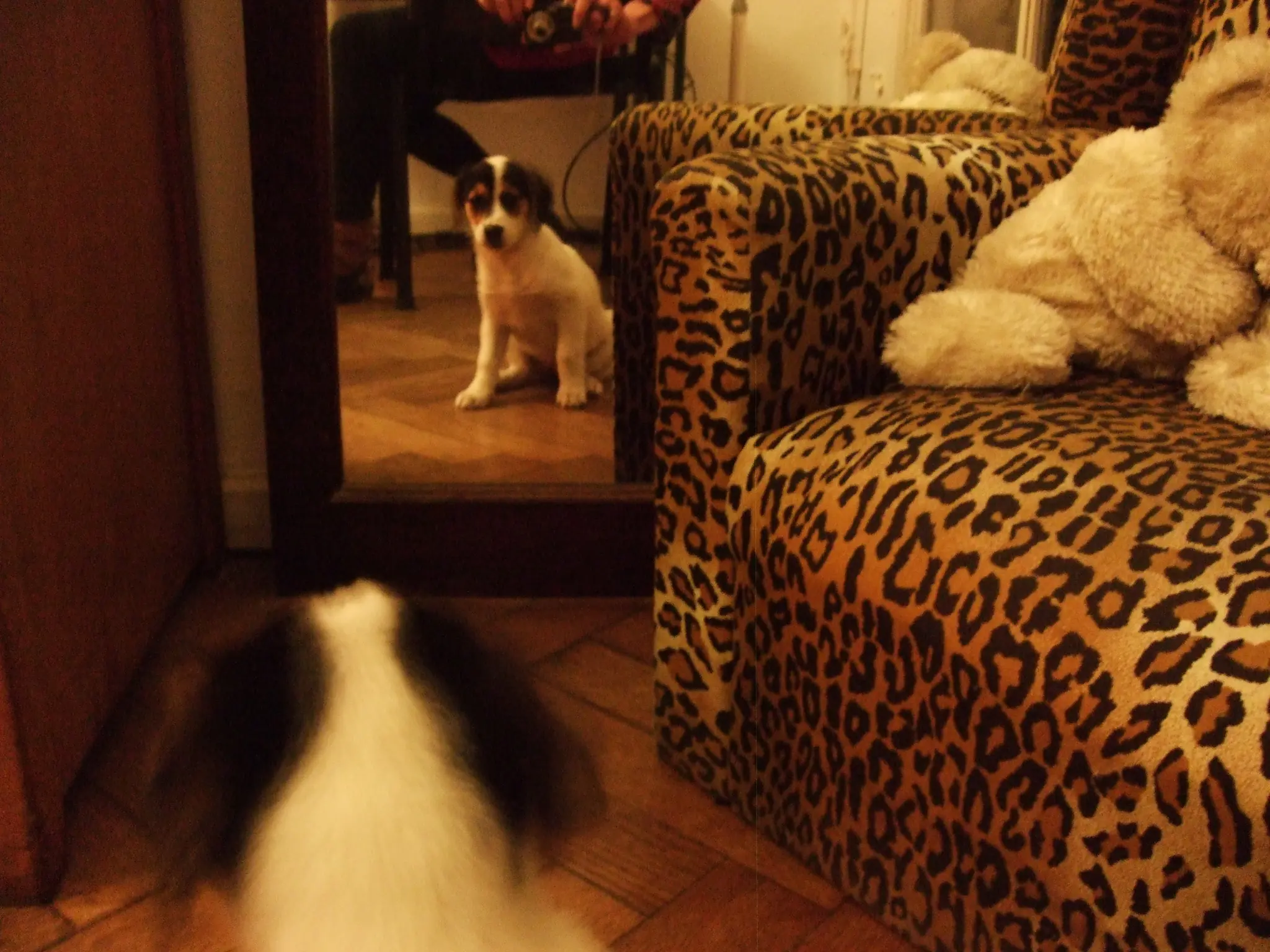 el clamor de las fiestas me puso sentimental