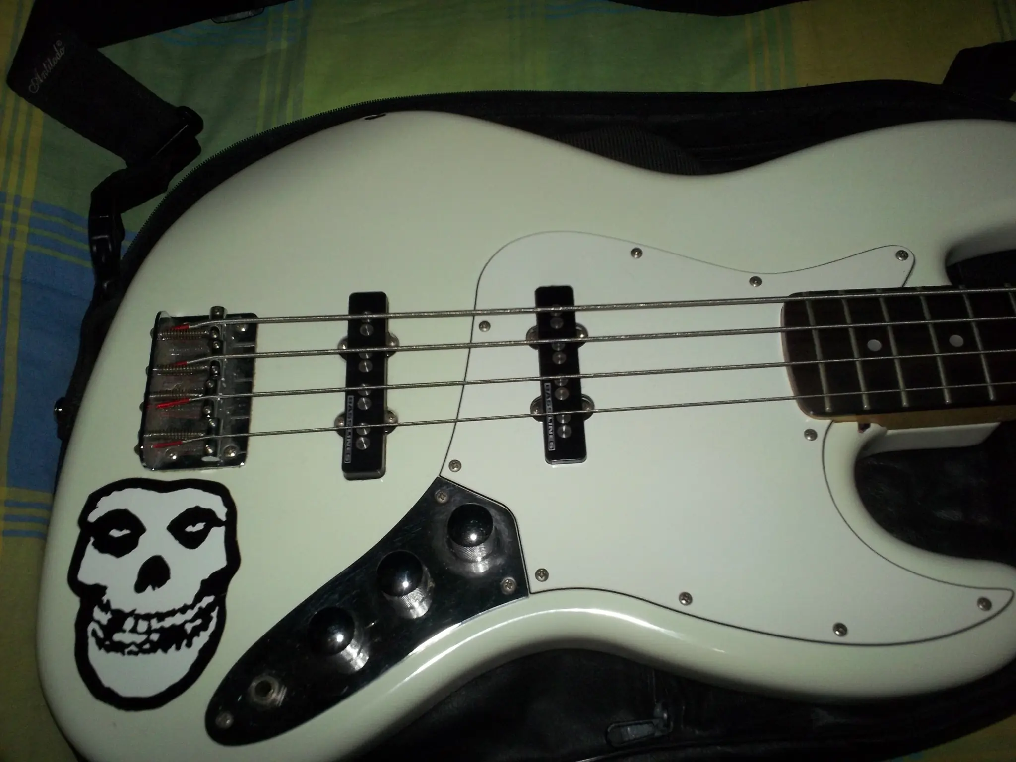 ampeg