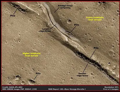 astronimia